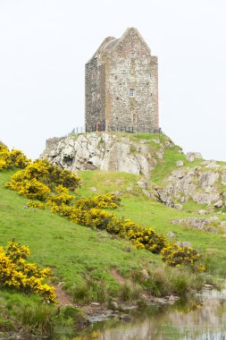 Kelso yakınlarındaki Smailholm Kulesi, İskoç Sınırları, İskoçya