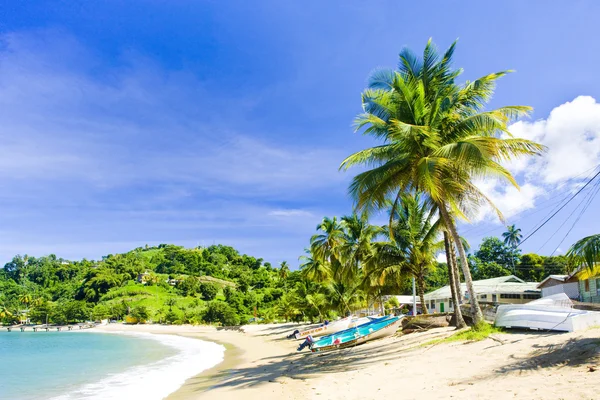 Baia di Palatuvier, tobago — Foto Stock