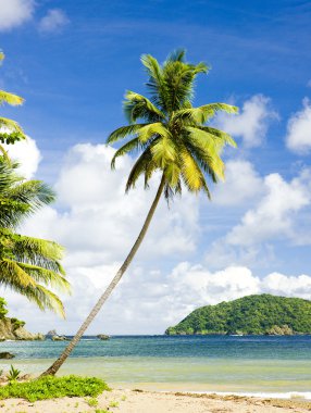 Batteaux Bay, Tobago