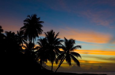 günbatımı yere denizinde, turtle beach, tobago