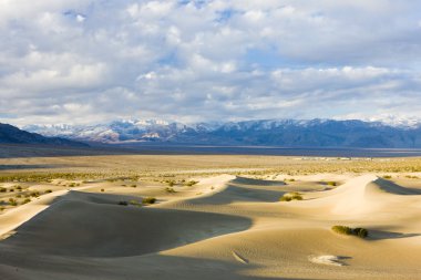Stovepipe Wells sand dunes, Death Valley National Park, Californ clipart