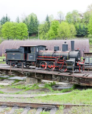 Buhar lokomotif, resavica, Sırbistan