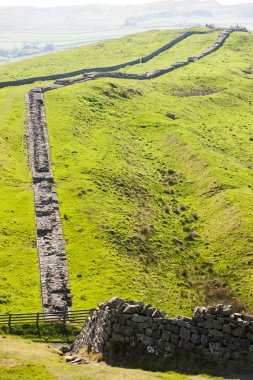 Hadrian duvarı, Northumberland, İngiltere
