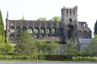 jedburgh abbey, scottish borders, İskoçya'nın