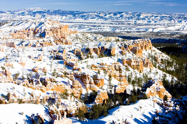 Bryce Canyon National Park in winter, Utah, USA — Stock Photo, Image