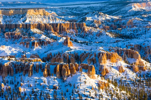 Bryce Canyon National Park in Winter, Utah, Verenigde Staten — Stockfoto