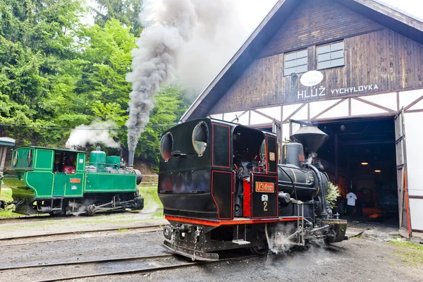 Locomotive a vapore, Museo del villaggio di Kysuce, Vychylovka, Slovaki — Foto Stock