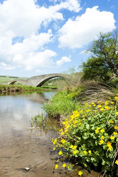 Brug nabij stow, Schotse borders, Schotland — Stockfoto