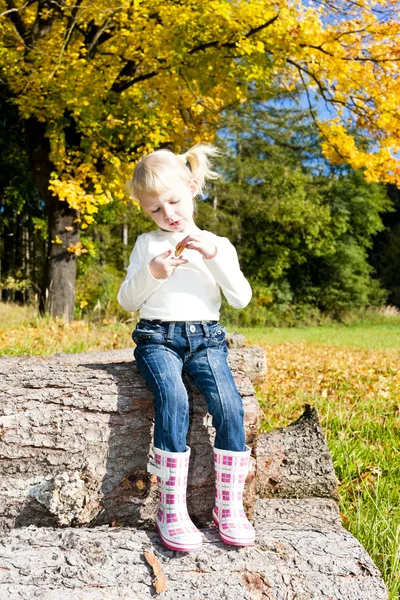 Sonbahar doğada oturan küçük kız — Stok fotoğraf
