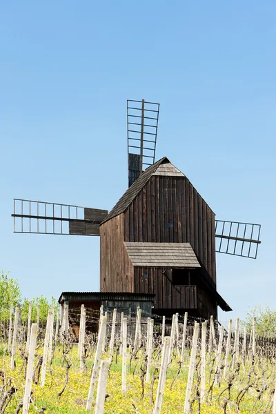 Wooden windmill with vineyard, Klobouky u Brna, Czech Republic — Stock Photo, Image