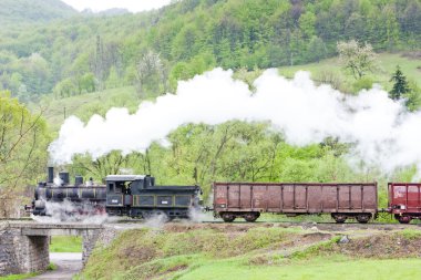 Buhar yük treni (126.014), resavica, Sırbistan
