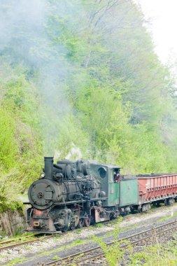 Dar hat demiryolu, banovici, Bosna ve Hersek