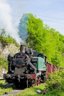 Buhar yük treni, durdevik, Bosna ve Hersek