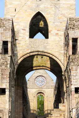 jedburgh abbey, scottish borders, İskoçya'nın