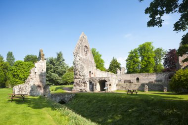 dryburgh abbey, scottish borders, İskoçya'nın