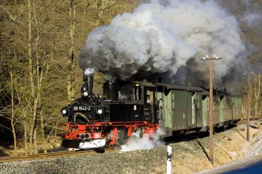 buhar tren, steinbach - johstadt, Almanya