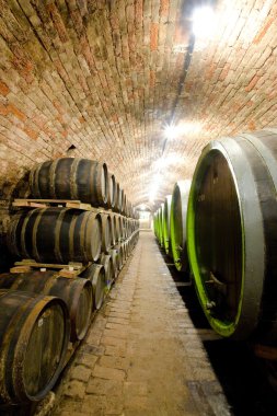 wine cellar, Jaroslavice, Czech Republic clipart