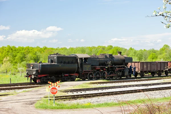 Treno merci a vapore nella regione di Tuzla, Bosnia ed Erzegovina — Foto Stock