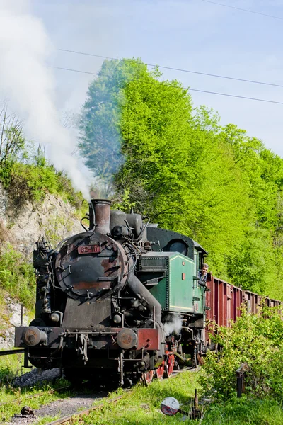 Parní nákladní vlak, durdevik, Bosna a hercegovina — Stock fotografie