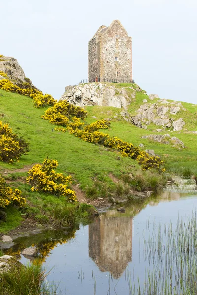 Smailholm башта біля Kelso, шотландські кордони, Шотландія — стокове фото