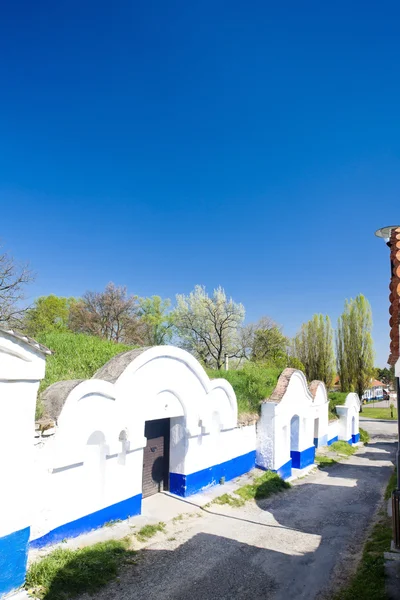 Wijnkelders, petrov - plze, Tsjechië — Stockfoto