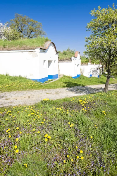 Wine cellars, Petrov - Plze, Czech Republic — Stock Photo, Image