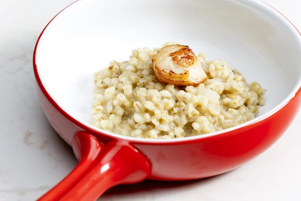 Kızarmış saint jacques yumuşakca pearl arpa risotto ile — Stok fotoğraf