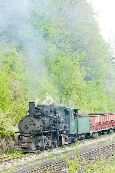 Narrow gauge railway, Banovici, Bosnia and Hercegovina Royalty Free Stock Photos
