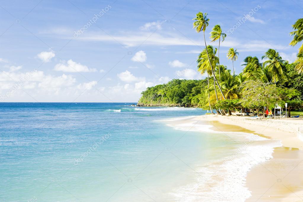 Mount Irvine Bay, Tobago