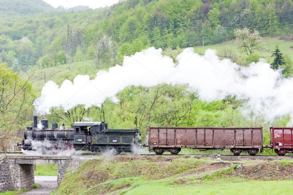 steam freight train (126.014), Resavica, Serbia