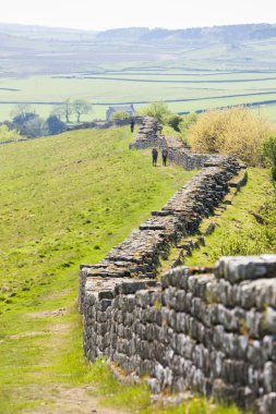 Hadrian duvarı, Northumberland, İngiltere