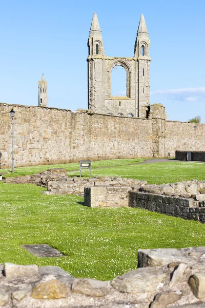 Ruinerna av st. regelns kyrkan och katedralen, st andrews, fife, Skottland — Stockfoto