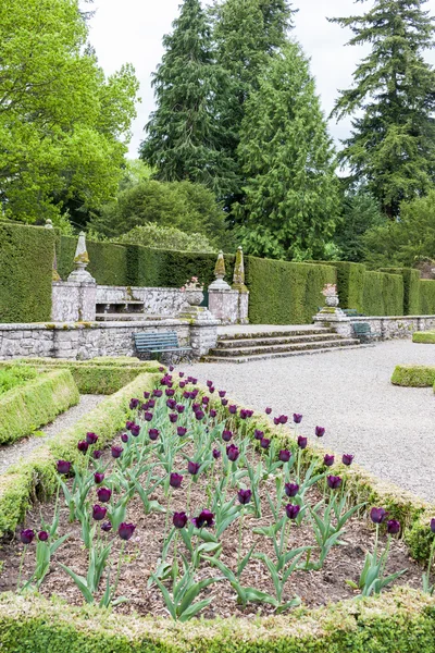 İtalyan Bahçe olan glamis Kalesi, angus, İskoçya — Stok fotoğraf