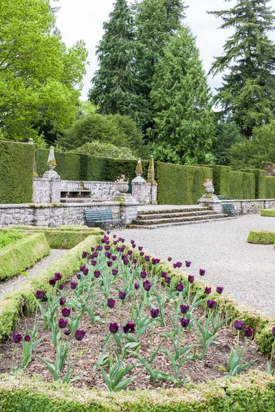 Italská zahrada hradu glamis, angus, Skotsko — Stock fotografie