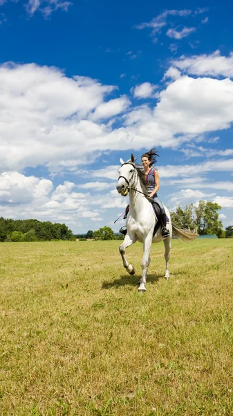 Paardensport op de rug van een paard — Stockfoto