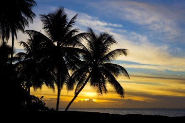 günbatımı yere denizinde, turtle beach, tobago