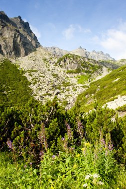 Büyük soğuk Vadisi, Vysoke Tatry (yüksek Tatras), Slovakya