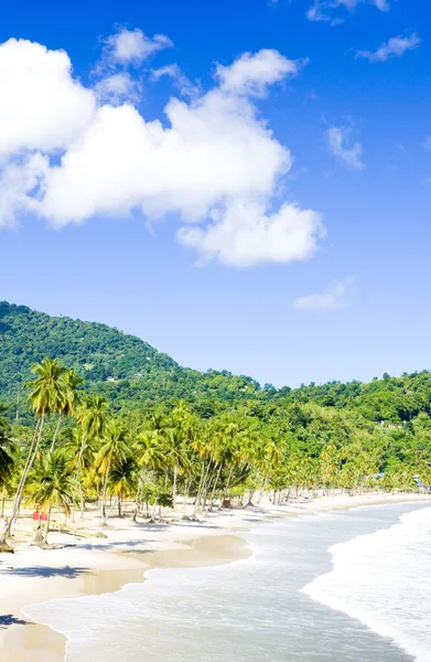 Maracas Bay, Trinidad — Photo