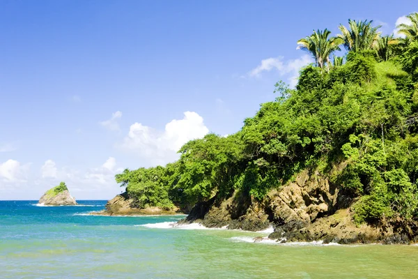 Western coast of Tobago — Stock Photo, Image