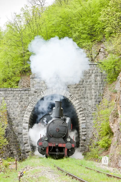 Stoom locomotief (126.014), resavica, Servië — Stockfoto