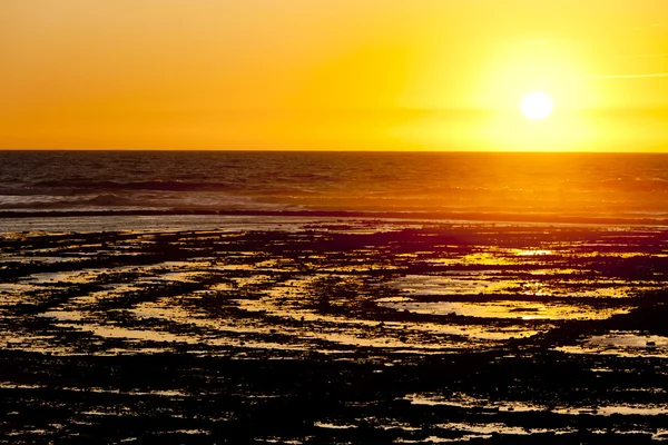 Sunset at coast of Oleron Island, Poitou-Charentes, France — Stock Photo, Image