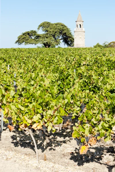 Chateau de la Tour, By, Bordeaux Region, France — Stock Photo, Image