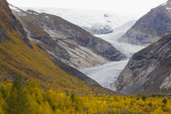 Glaciar Nigardsbreen, Parque Nacional Jostedalsbreen, Noruega — Foto de Stock