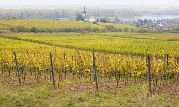 Oppenheim, rheingau, Tyskland — Stockfoto