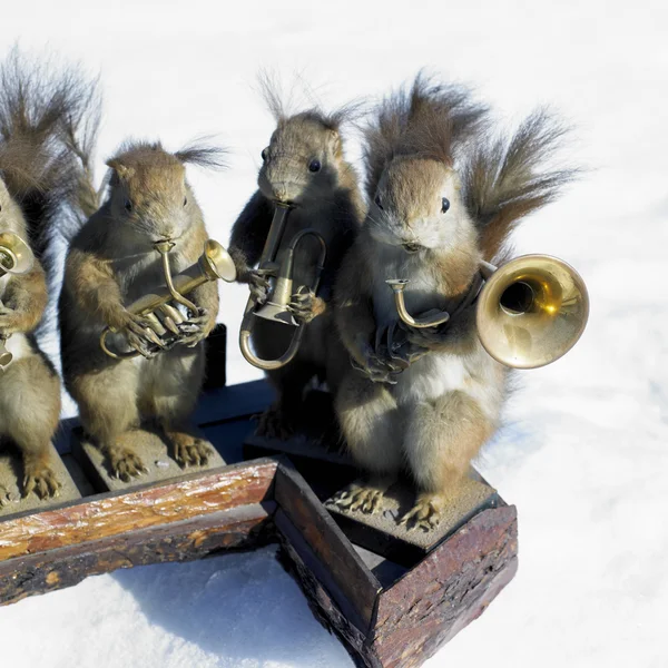 Gefüllte Eichhörnchen Band — Stockfoto