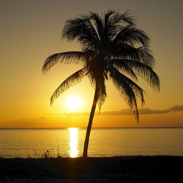 Puesta de sol sobre el Mar Caribe, Maria la Gorda, Provincia de Pinar del Río — Foto de Stock