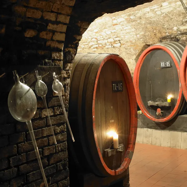 Wine cellar, Litomerice, Czech Republic — Stock Photo, Image