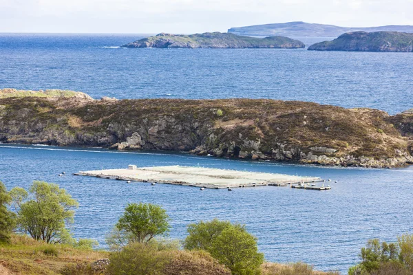 Allevamento di salmoni a Drumbeg, Highlands, Scozia — Foto Stock