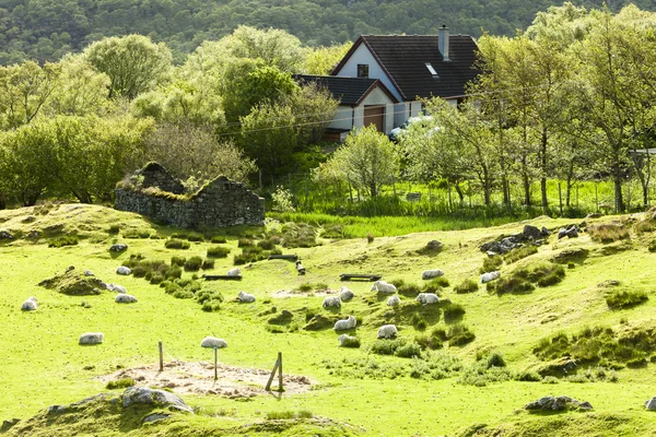 Paisaje cerca de Nedd, Highlands, Escocia — Foto de Stock