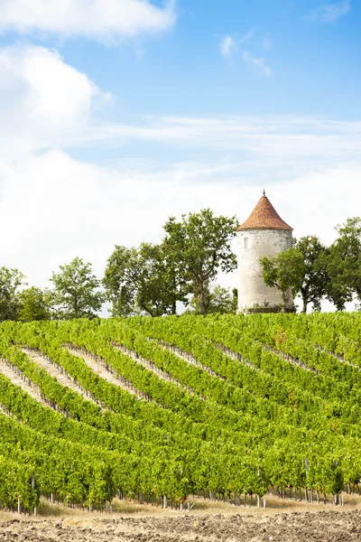 Wijngaard met molen in de buurt van ribagnac, departement dordogne, aquit — Stockfoto